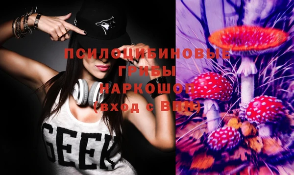 герыч Козельск
