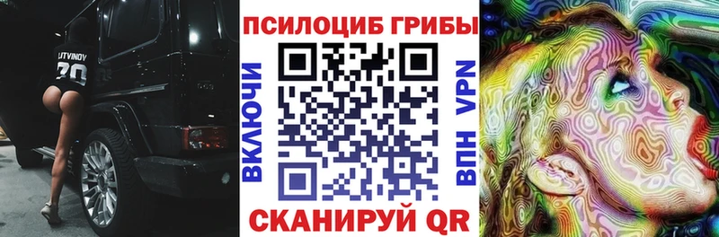 Купить  Рославль  Псилоцибиновые грибы Psilocybe 