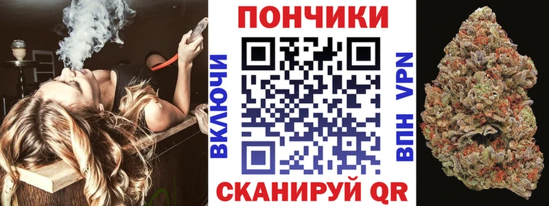Бошки Шишки THC 21%  Купить закладки  Рославль 